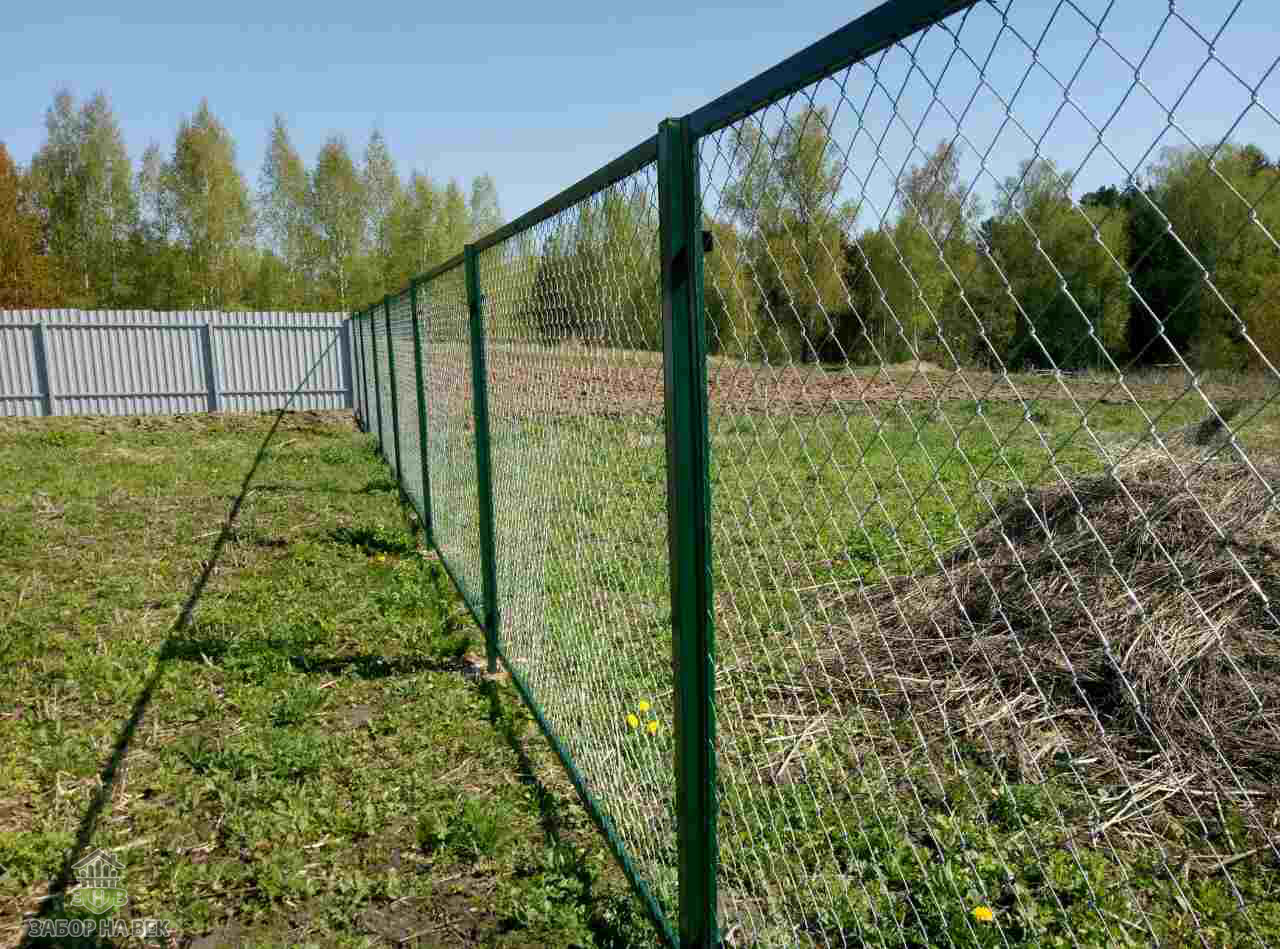 Фото и видео заборов из сетки рабицы